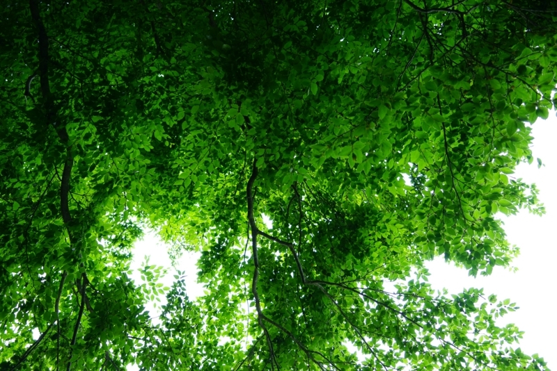 f:id:GSX-R1000:20180615201314j:image