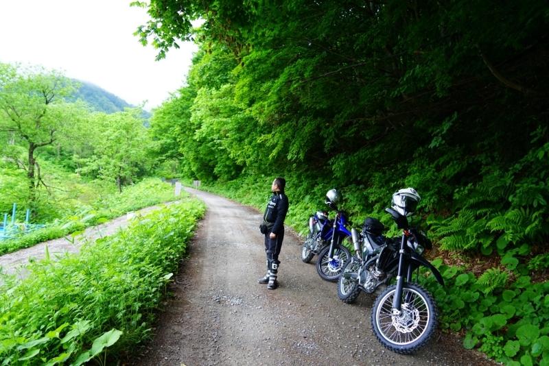 f:id:GSX-R1000:20180615201315j:image