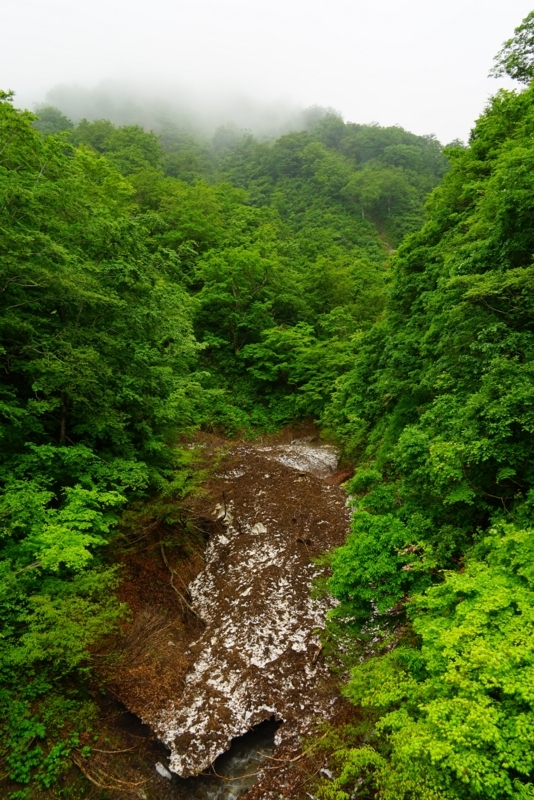f:id:GSX-R1000:20180615201320j:image