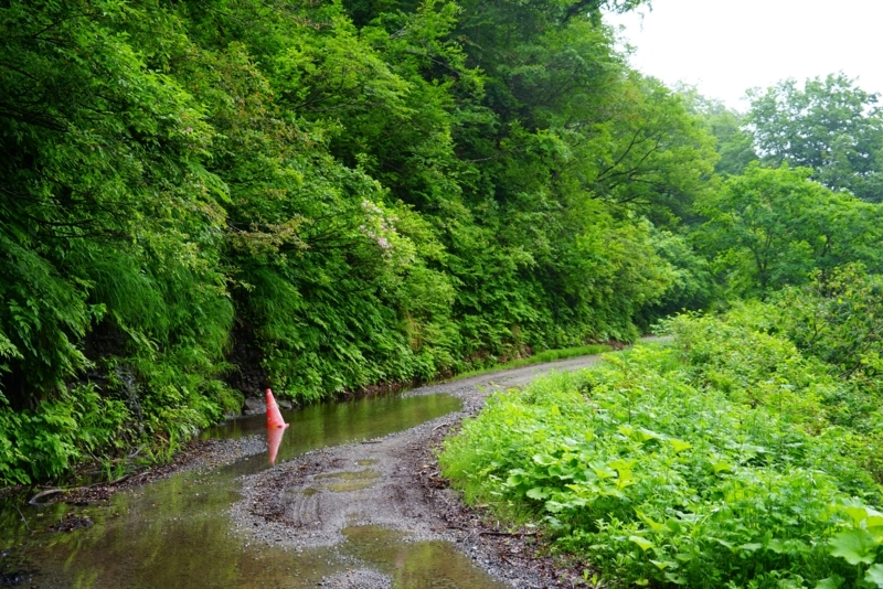 f:id:GSX-R1000:20180615201323j:image