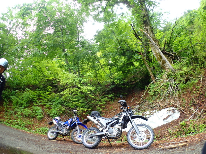 f:id:GSX-R1000:20180615201347j:image