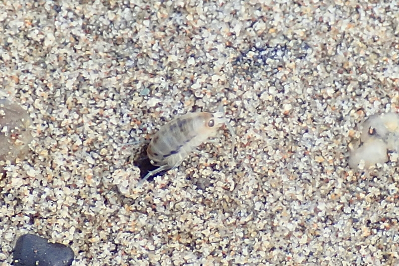 f:id:GSX-R1000:20180622173620j:image