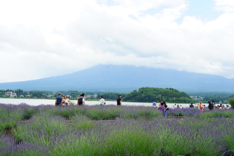 f:id:GSX-R1000:20180706142544j:image