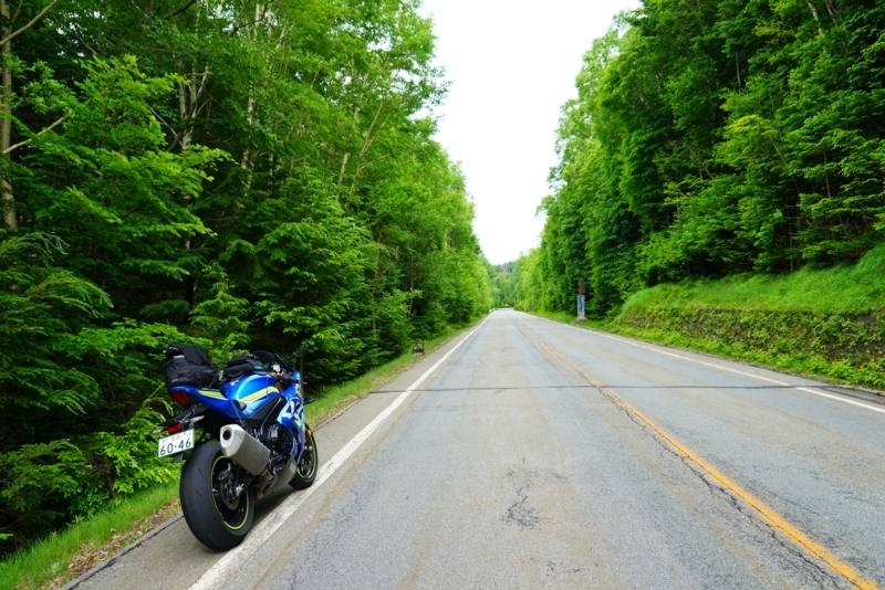 f:id:GSX-R1000:20180706142552j:image