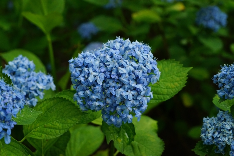 f:id:GSX-R1000:20180722221305j:image