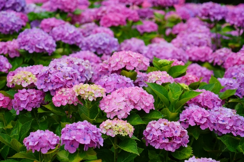 f:id:GSX-R1000:20180722221309j:image