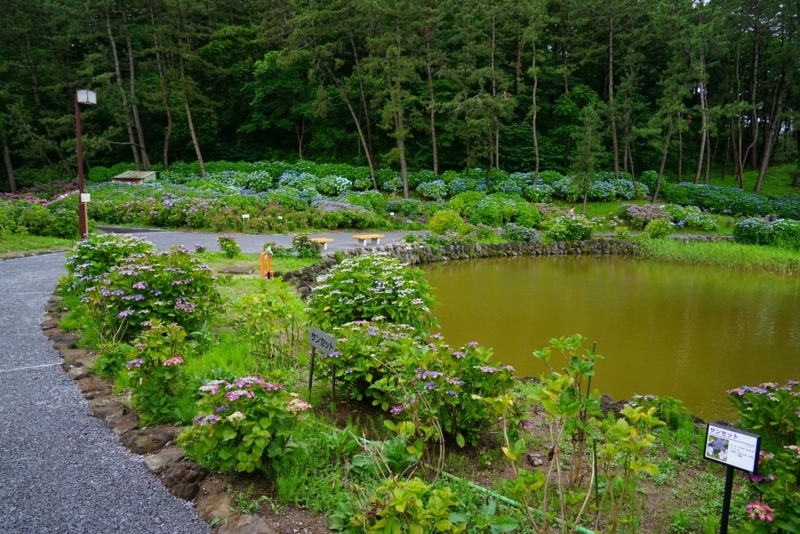 f:id:GSX-R1000:20180722221313j:image