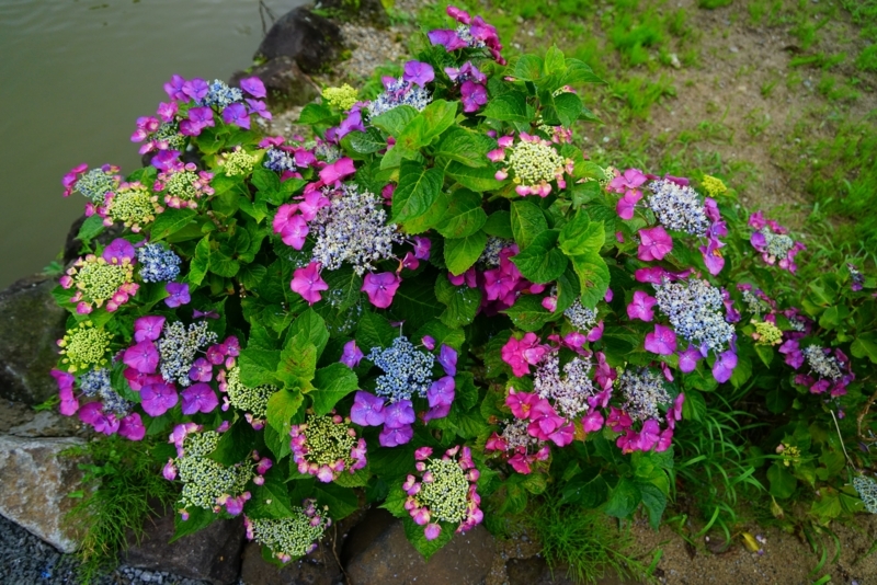 f:id:GSX-R1000:20180722221315j:image