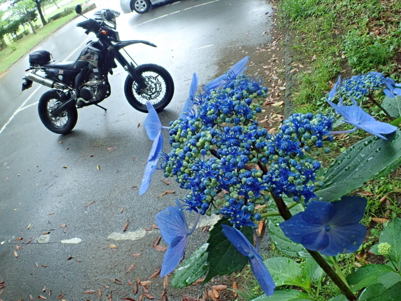 f:id:GSX-R1000:20180722221323j:image