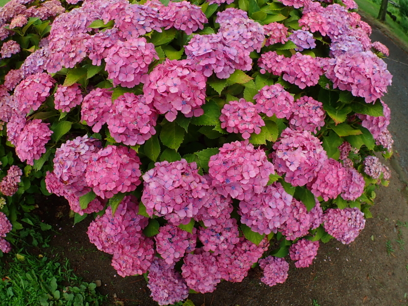 f:id:GSX-R1000:20180722221356j:image