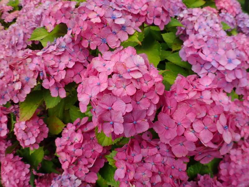 f:id:GSX-R1000:20180722221357j:image