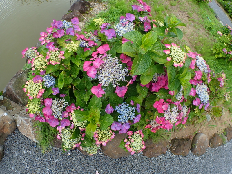 f:id:GSX-R1000:20180722221400j:image