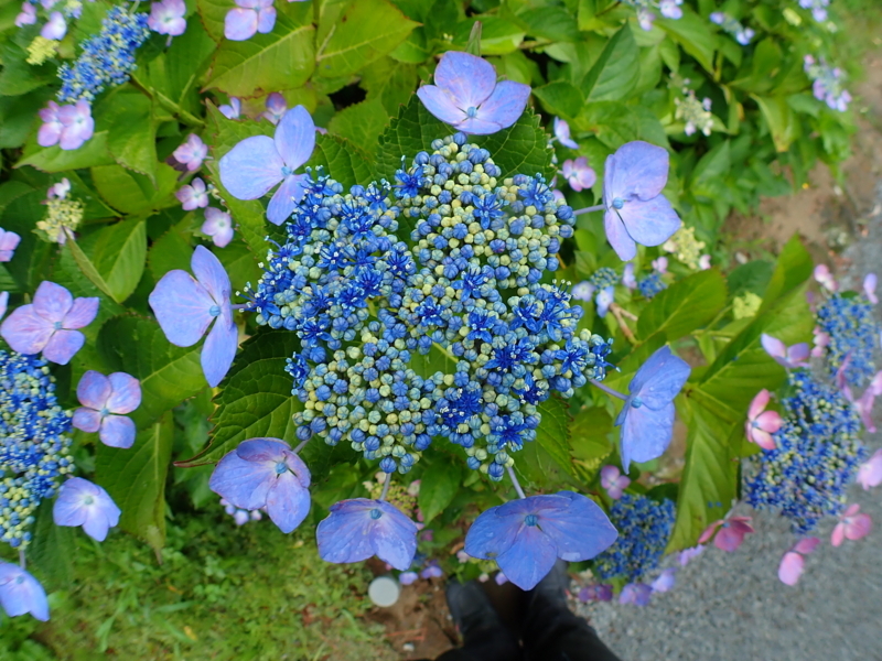 f:id:GSX-R1000:20180722221401j:image
