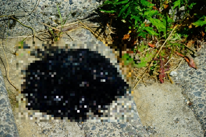 f:id:GSX-R1000:20180802191715j:image