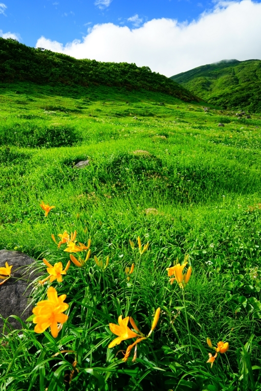 f:id:GSX-R1000:20180803182659j:image