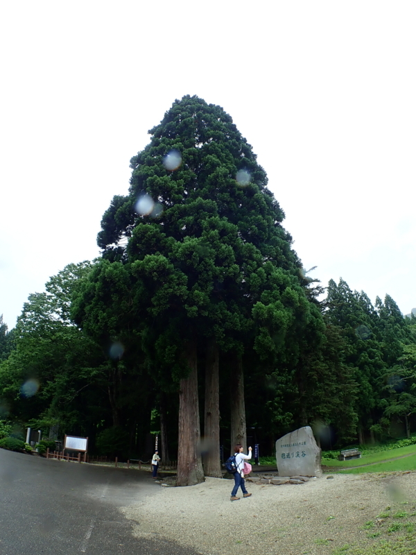 f:id:GSX-R1000:20180808175234j:image f:id:GSX-R1000:20180808175234j:image