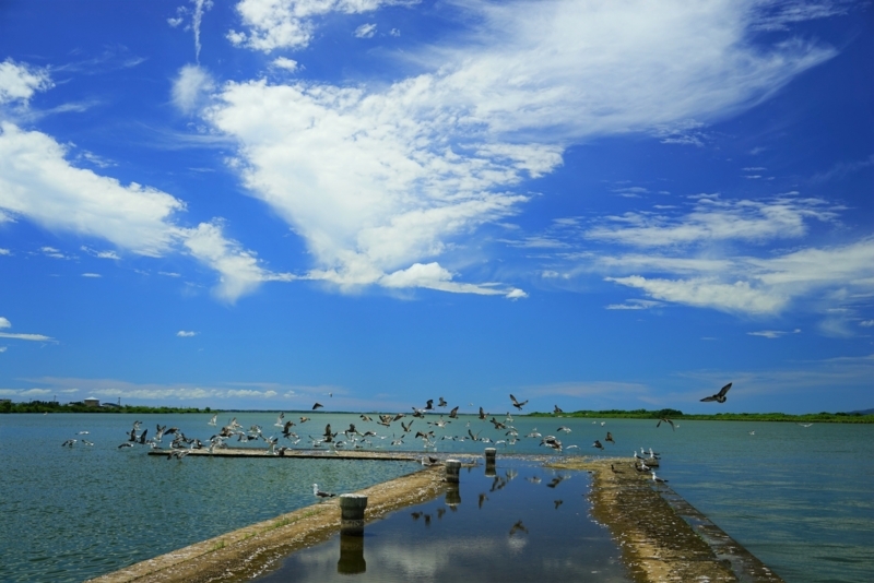 f:id:GSX-R1000:20180825180145j:image