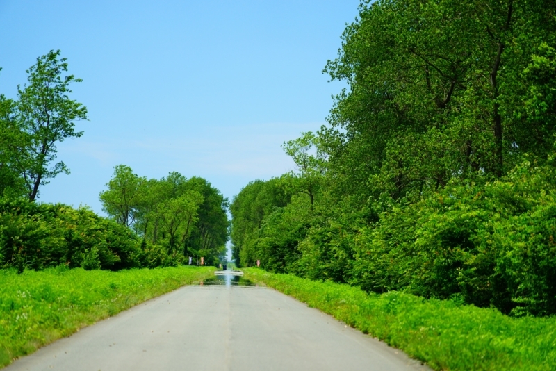 f:id:GSX-R1000:20180825180148j:image