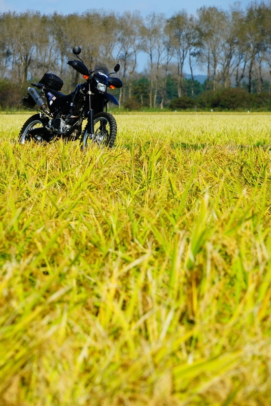 f:id:GSX-R1000:20180925195823j:plain f:id:GSX-R1000:20180925195823j:plain