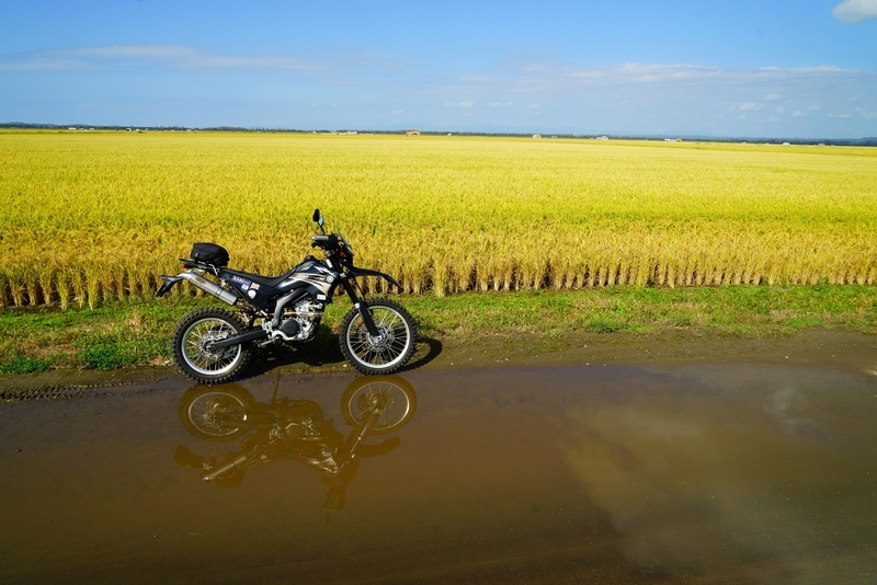 f:id:GSX-R1000:20180925200230j:plain f:id:GSX-R1000:20180925200230j:plain