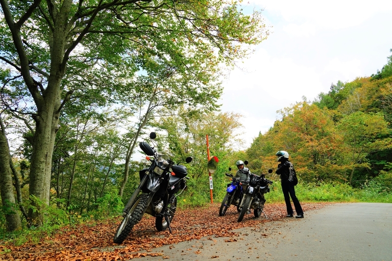 f:id:GSX-R1000:20181016110639j:plain