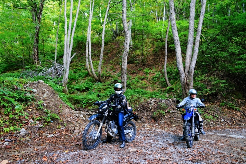 f:id:GSX-R1000:20181016110923j:plain