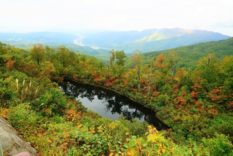 f:id:GSX-R1000:20181016111424j:plain