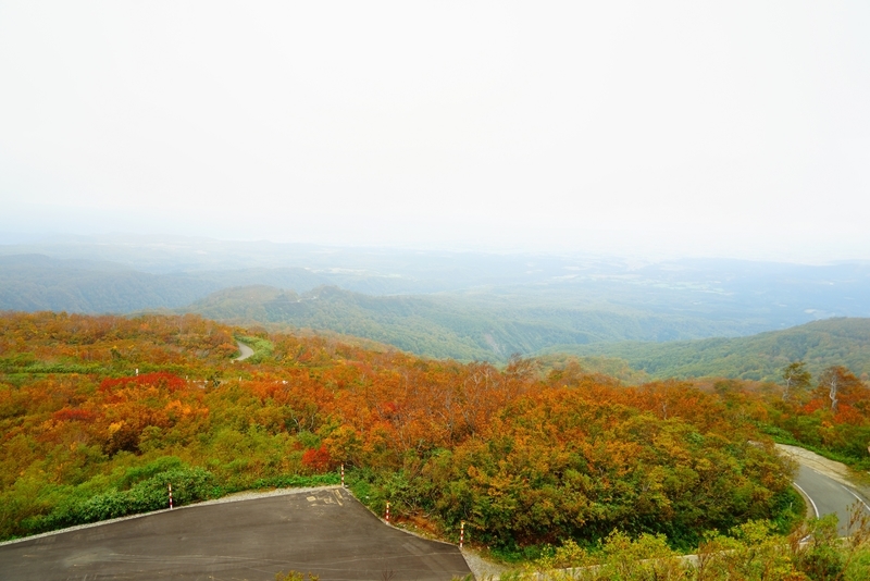 f:id:GSX-R1000:20181016111910j:plain