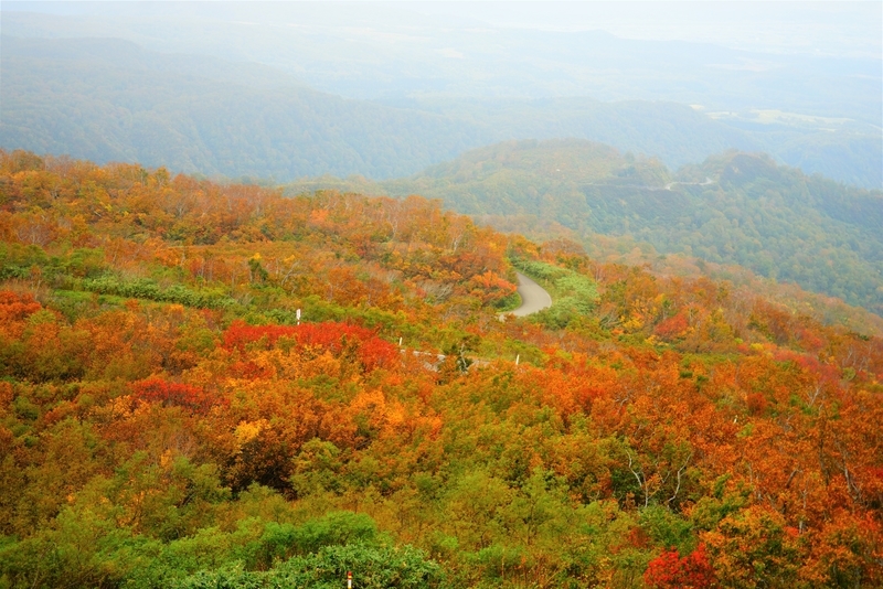 f:id:GSX-R1000:20181016112239j:plain