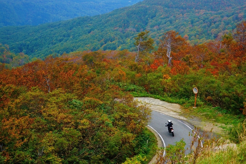 f:id:GSX-R1000:20181016112727j:plain