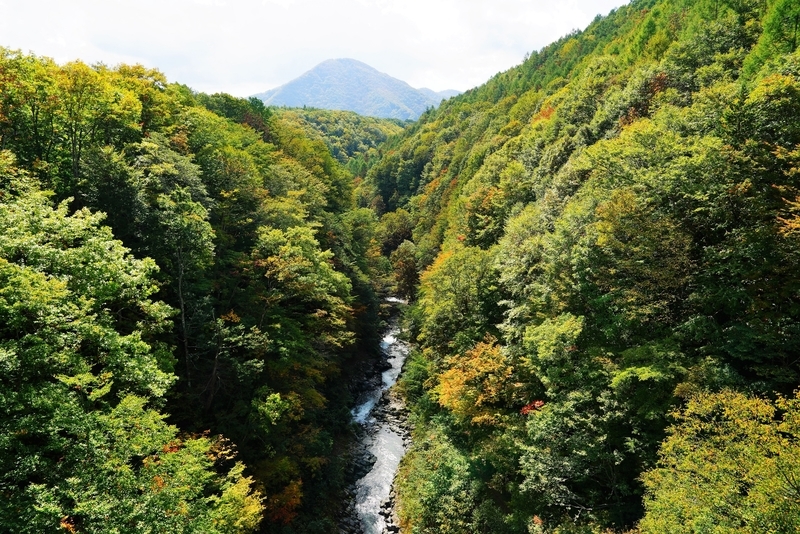 f:id:GSX-R1000:20181020120134j:plain