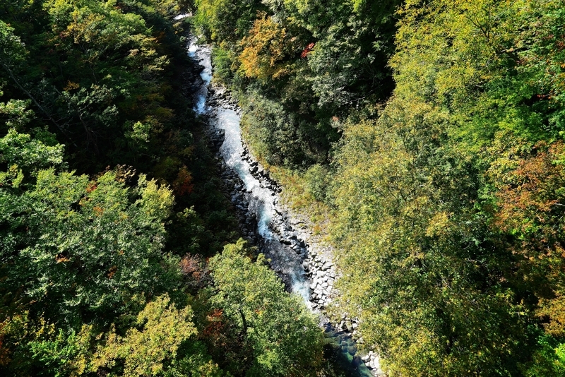 f:id:GSX-R1000:20181020120306j:plain