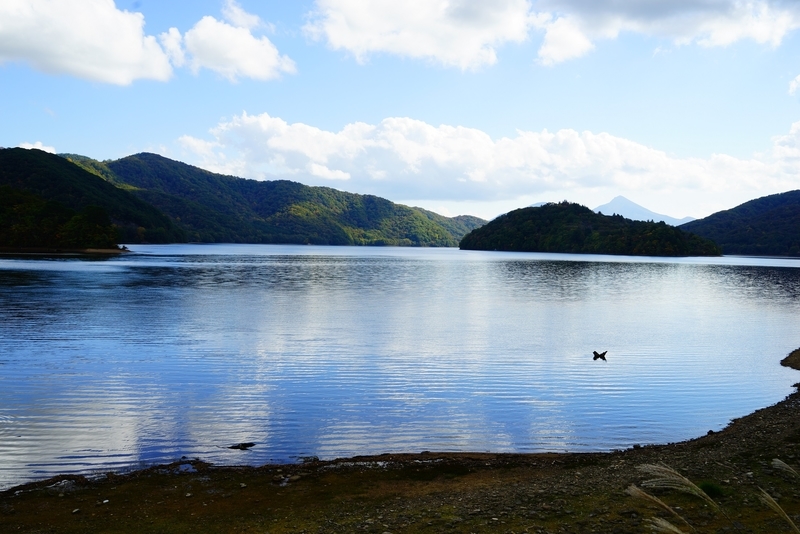 f:id:GSX-R1000:20181020121726j:plain