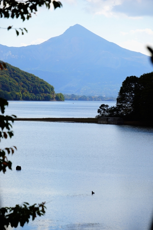 f:id:GSX-R1000:20181020121742j:plain