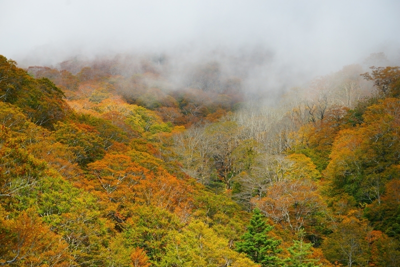 f:id:GSX-R1000:20181020122221j:plain