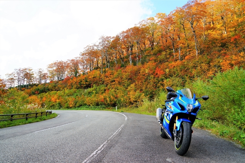 f:id:GSX-R1000:20181020122845j:plain