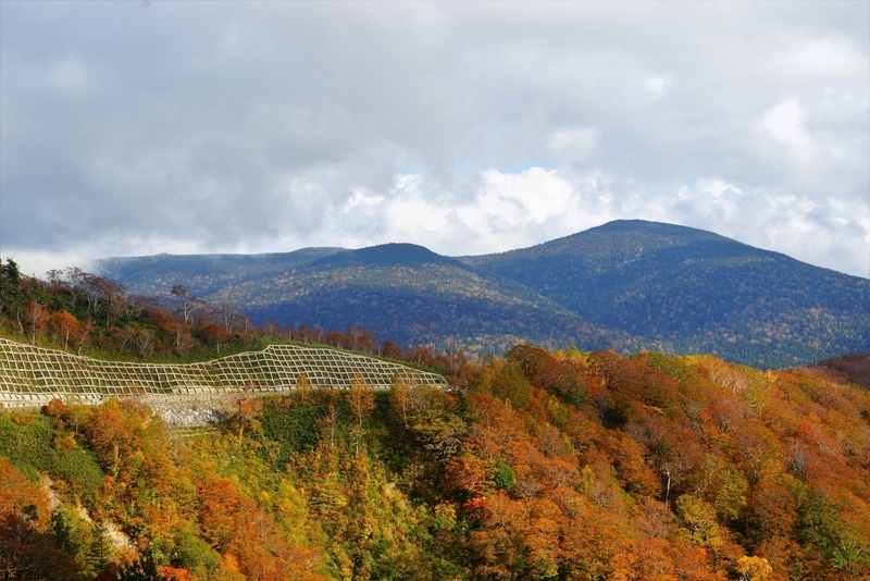 f:id:GSX-R1000:20181020122901j:plain