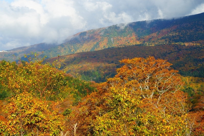 f:id:GSX-R1000:20181020123249j:plain