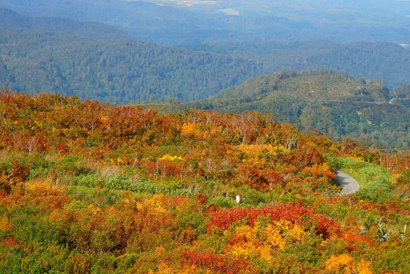 f:id:GSX-R1000:20181023124600j:plain