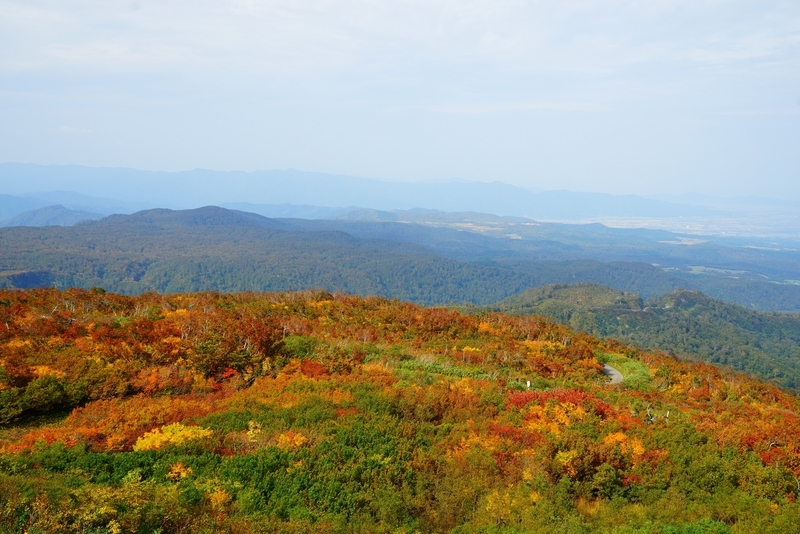 f:id:GSX-R1000:20181023124604j:plain