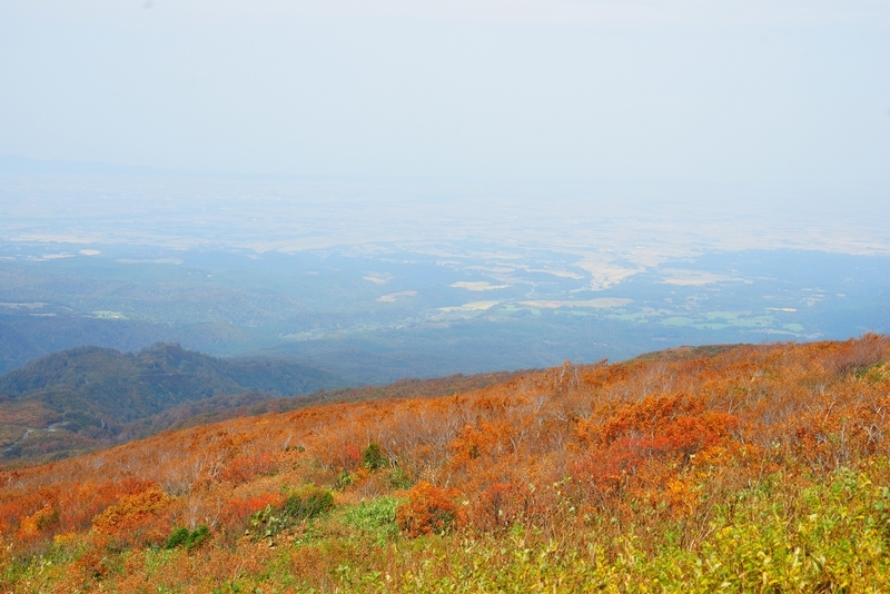 f:id:GSX-R1000:20181023130625j:plain