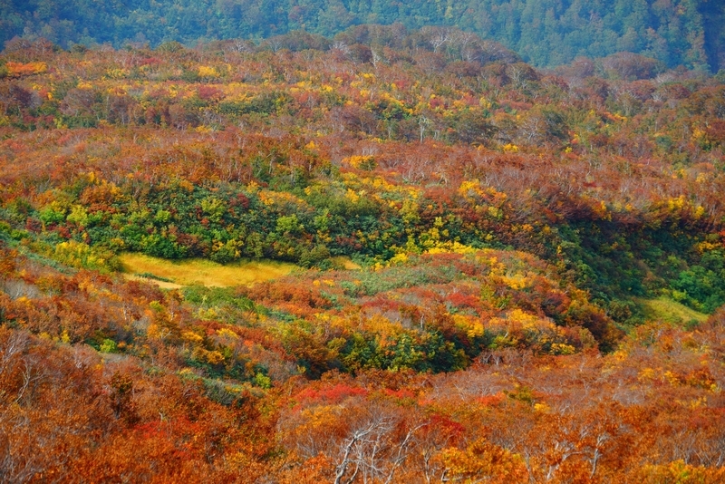 f:id:GSX-R1000:20181023131011j:plain