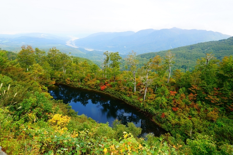 f:id:GSX-R1000:20181023133019j:plain