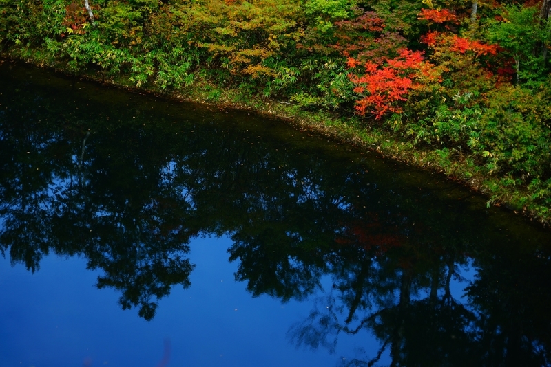 f:id:GSX-R1000:20181023133302j:plain