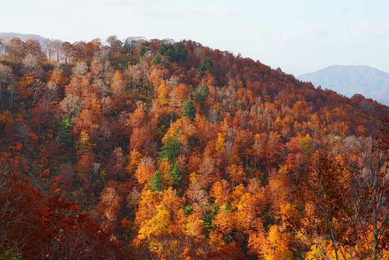 f:id:GSX-R1000:20181027211623j:plain