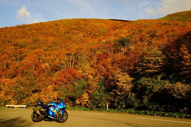 f:id:GSX-R1000:20181103221305j:plain