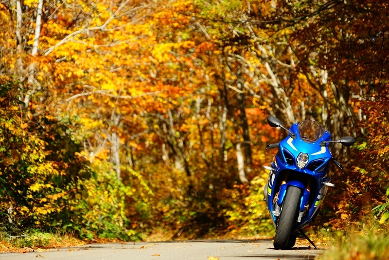 f:id:GSX-R1000:20181105142356j:plain