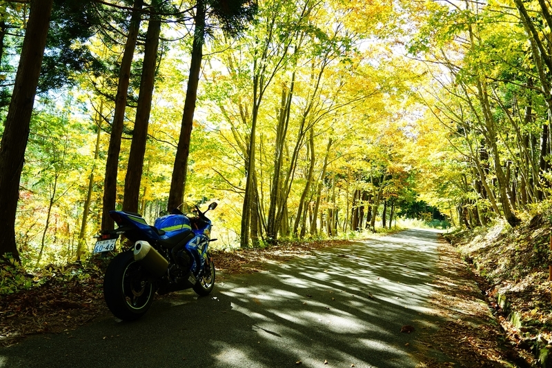 f:id:GSX-R1000:20181105142413j:plain