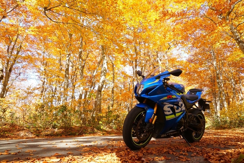 f:id:GSX-R1000:20181105142715j:plain