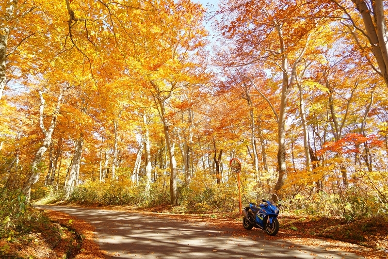 f:id:GSX-R1000:20181105142720j:plain